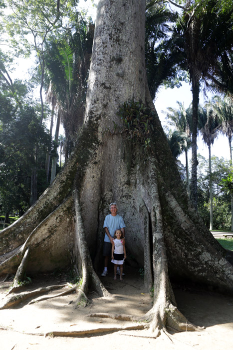 Meu pai e a Julia mostrando como essa árvore é enorme 