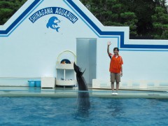 golfinho dando tchau aquário de shinagawa toquio