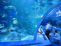 tunel do aquário de shinagawa