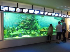 tanque tropical aquário de shinagawa tóquio