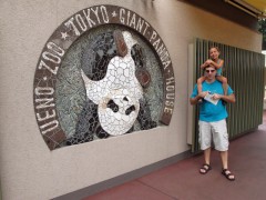 Pandas gigantes ueno zoo