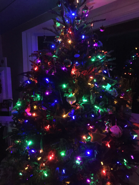 A árvore de Natal (natural) da minha sogra