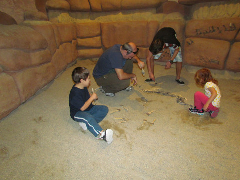 Brincando de paleontologistas