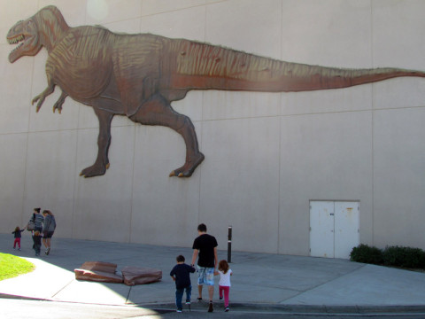 Chegando ao museu dos dinossauros