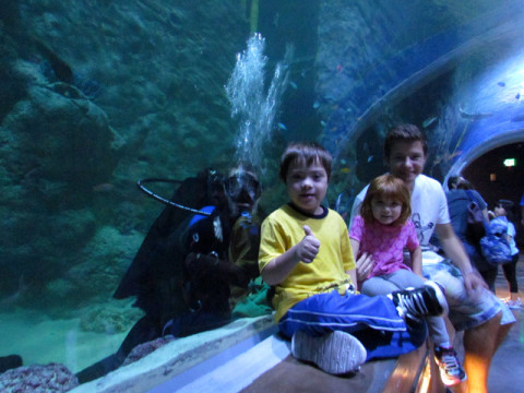 As crianças no túnel do aquário
