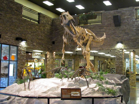 Um fóssil logo na entrada