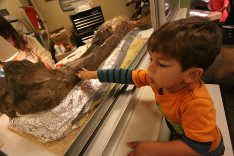Eric colocando a mão em um fóssil no laboratório