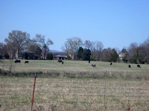 Típica fazenda de gado em Clarksville, Arkansas