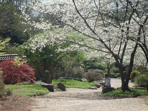 Jardim Botânico de Birmingham na primavera