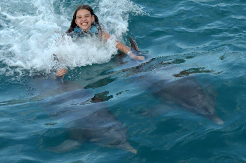 Nadando com golfinhos em Isla Mujeres