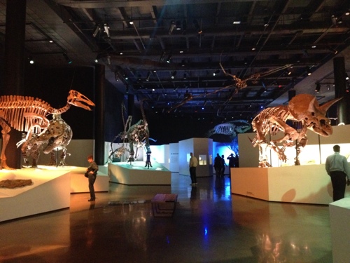 20130207-163922.jpg