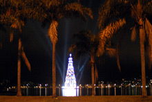 A Árvore da Lagoa, entre as palmeiras, para mostrar bem o nosso Natal tropical