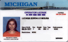 Carteira de Michigan