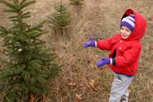 Meu sobrinho Hazen mal chegou e já encontrou a sua árvore perfeita: bem do seu tamanho