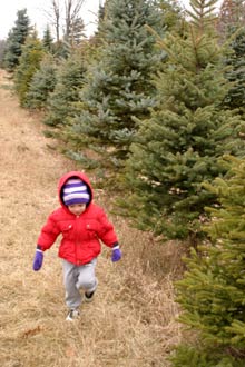 Hazen não se incomodou com o frio e ficou correndo por entre as árvores