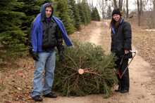 E lá fomos nós arrastando a árvore para o carro...