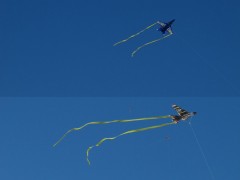 pipasnozilkerkitefestival