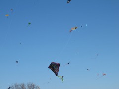 pipaszilkerkitefestival