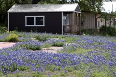 18-casacaminhoburnetbluebon