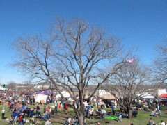 arvorezilkerkite