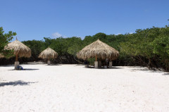 26-palapasmangelhalto