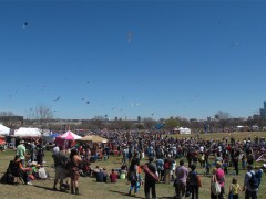 pipasnozilkerkitefestival