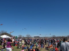 festivaldepipasnosEUA