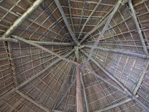 O teto da nossa cabana, surpreendentemente, nenhuma goteira