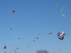 pipasnozilkerkitefestival