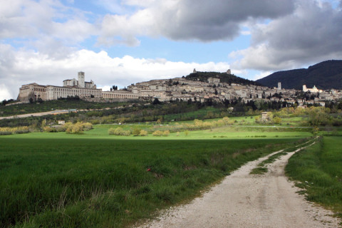 assis panorama