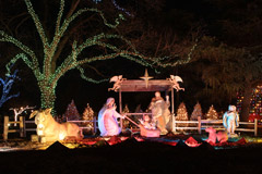 austintrailoflights16