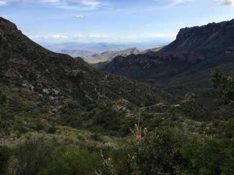 Vista da primeira milha da Lost Mine Trail nas Chisos Mountains
