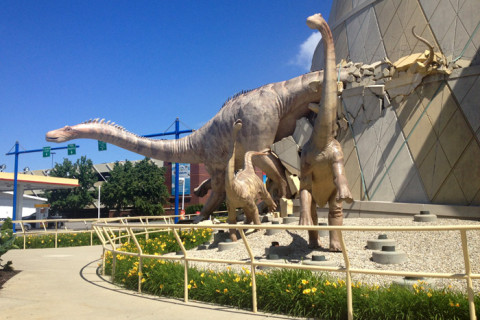 Os dinossauros na parte externa do museu