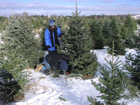 Cortando a nossa primeira árvore de Natal em 2002, Michigan