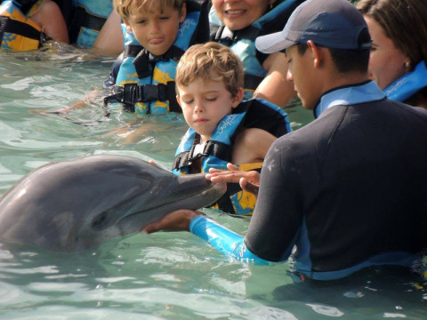 Dolphin Discovery em Isla Mujeres