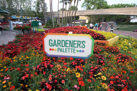 Gardener's Palette, com as flores agrupadas por cor