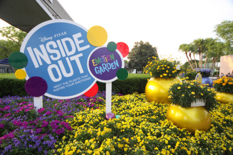 Jardim Inside Out - cores e as emoções