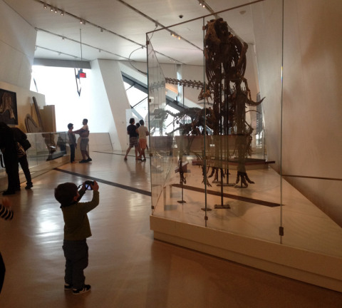 ericromfotografadinossauro