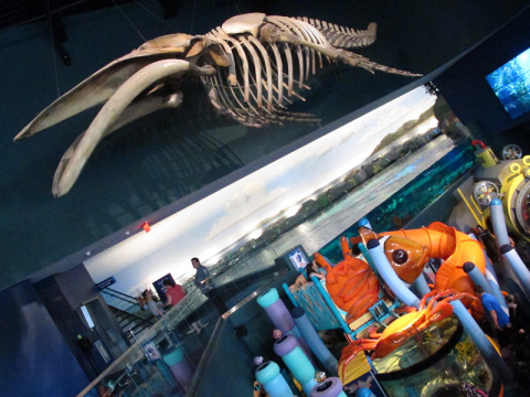 fossilripleysaquarium