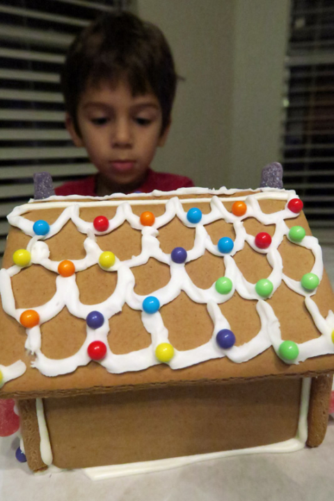 gingerbreadhouseeric