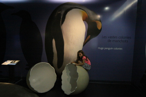 Julia queria ser uma pinguinzinha 