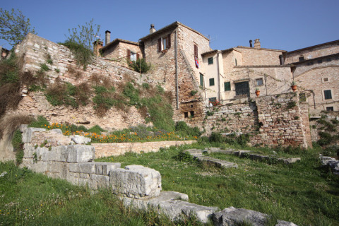 Quantos séculos tem esses muros? E as flores  invadindo