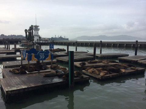 Pier 39 em San Francisco