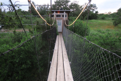 A ponte pro banheiro