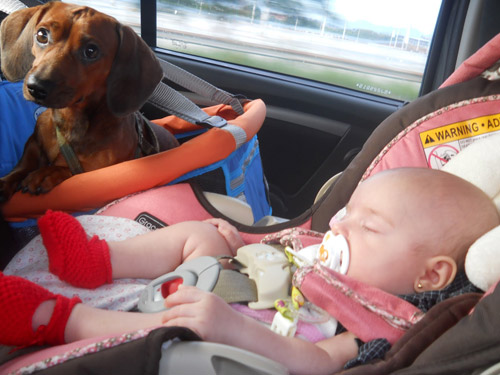 primeiraviagemItatiaia