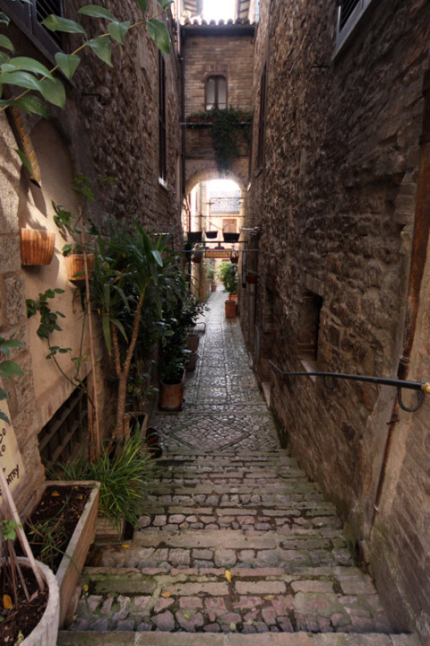 Em Spello você olha pro lado e vê um monte de ruas assim