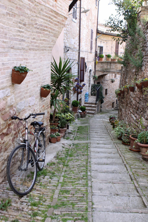Não faltam cantinhos bonitinhos na cidade