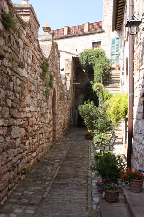 Mais um jardim escondido