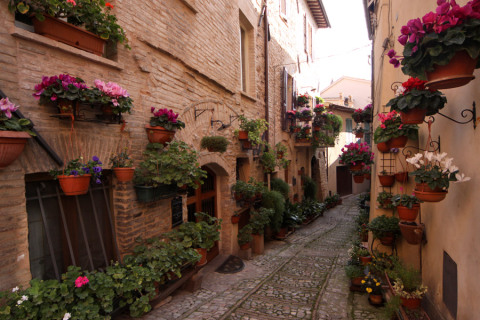Spello na primavera: quanto mais vasinhos de flores melhor