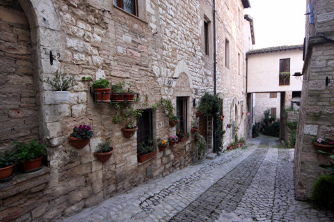 Mais vasinhos espalhados